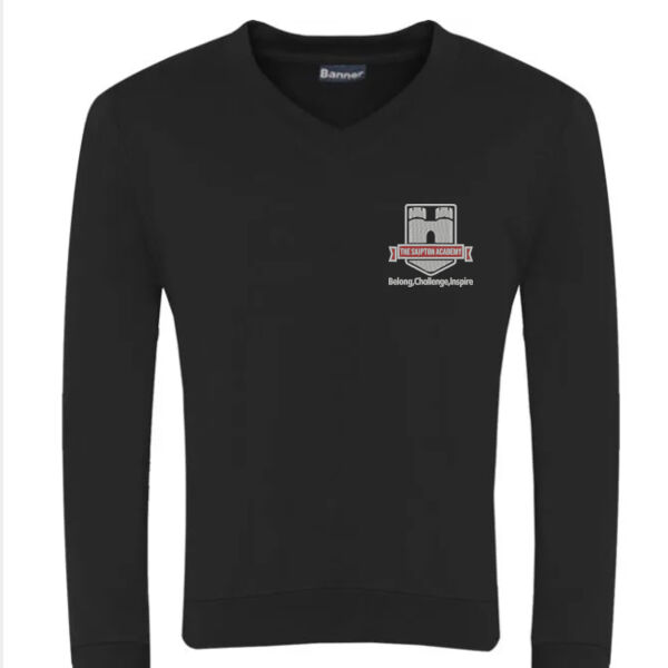 3SV - Select V-Neck Sweatshirt Junior Thumbnail